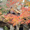春日神社２