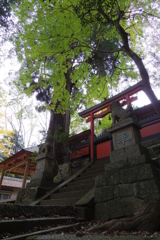 興ヶ原町 天満神社