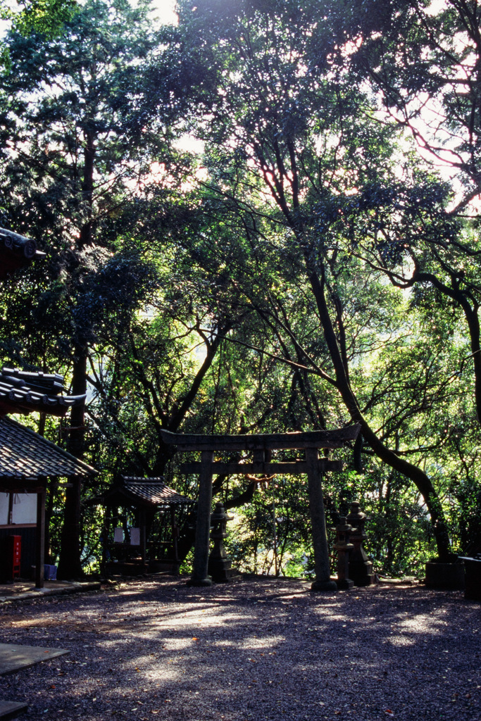 有市国津神社