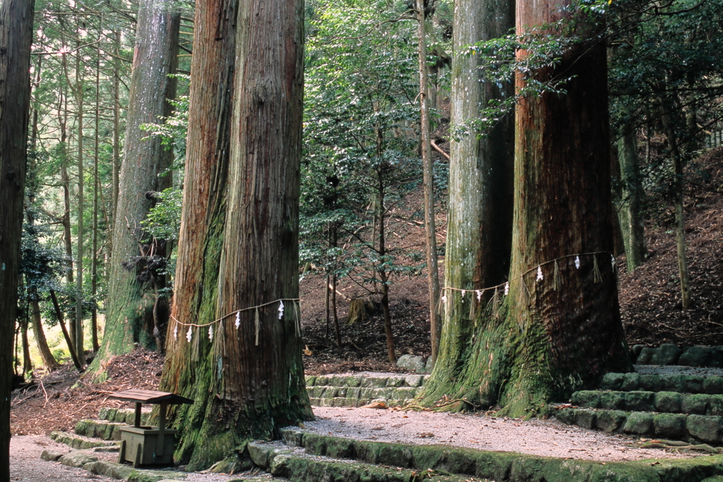 蘭宇氣白神社その２