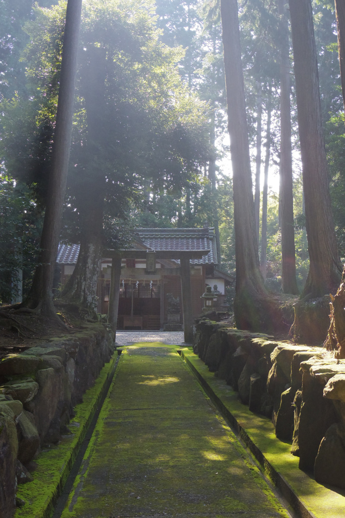 八幡神社２