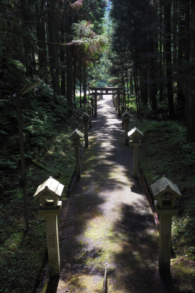 高宮神社　参道