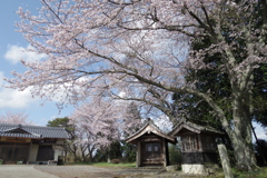 大山田村　稲荷跡