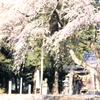 川俣神社２