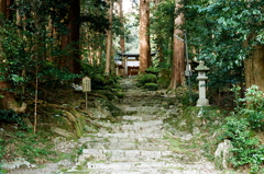 藤切神社