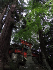 天満神社