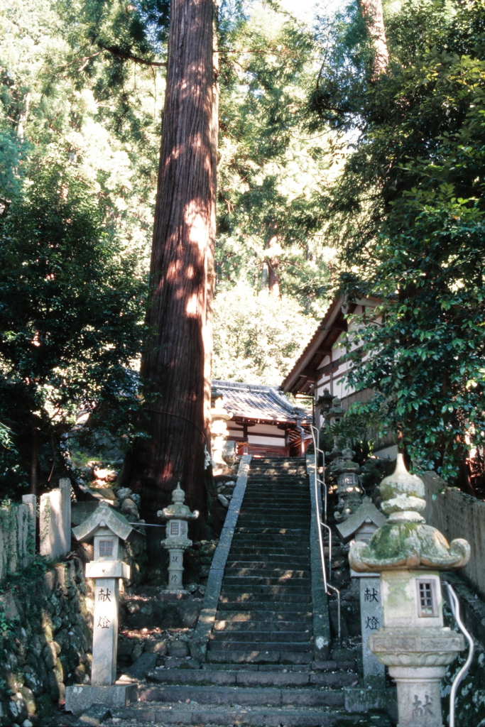 海神社