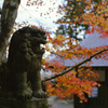 春日神社　狛犬