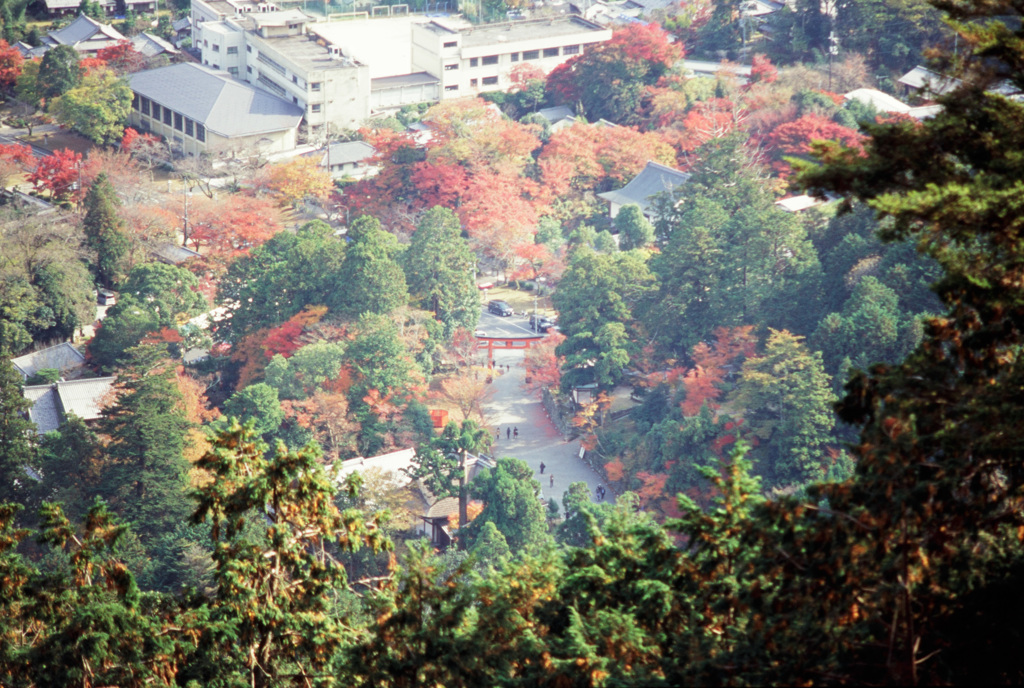 八王子山から　