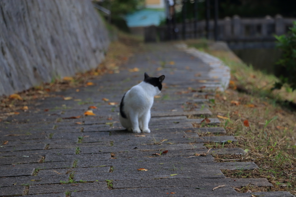 視線の向こうに