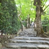 京都
