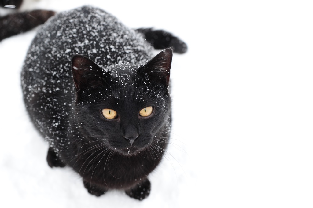 雪の中
