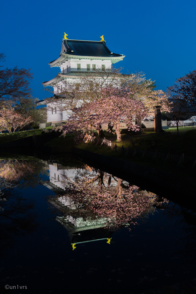 Sakura Reflection そのいち。