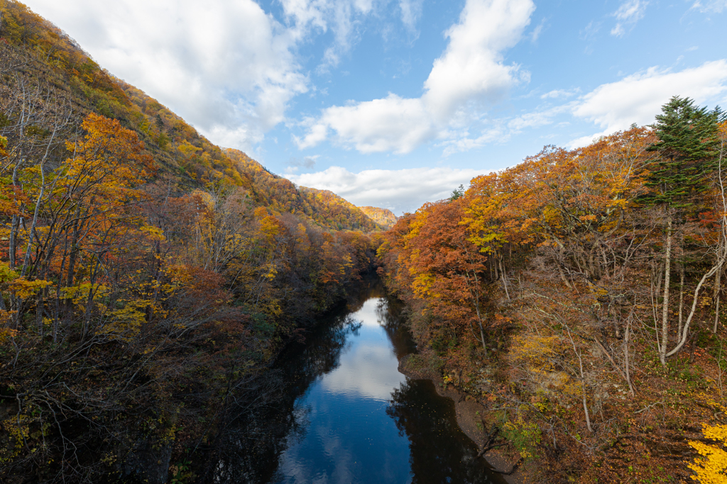 晩秋 そのいち。