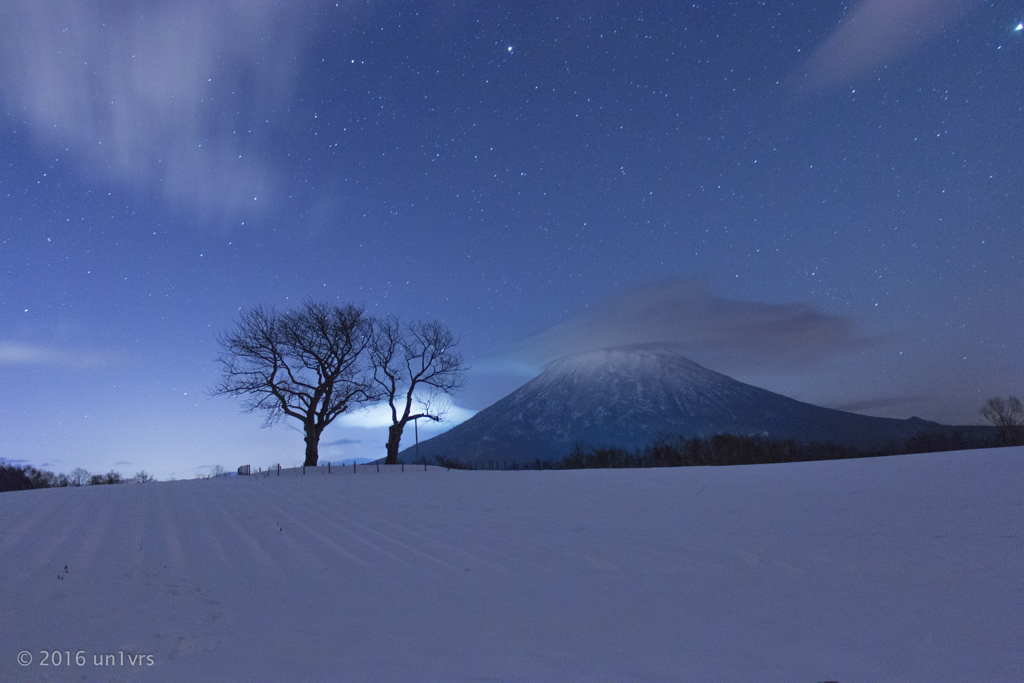 さくらんぼの木と羊蹄山 そのに。