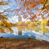 中島公園の紅葉 そのいち。