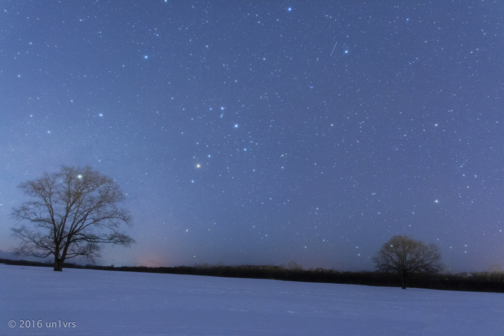 星空と3本の木。