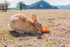 もぐもぐもぐもぐ。