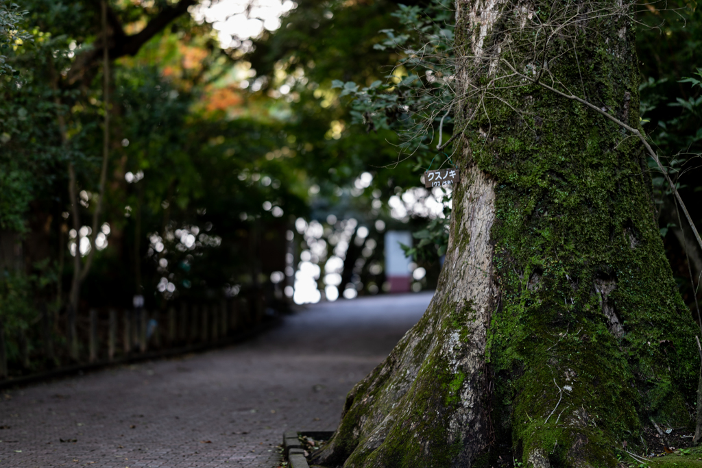 城山公園展望台 そのさん。