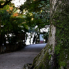 城山公園展望台 そのさん。