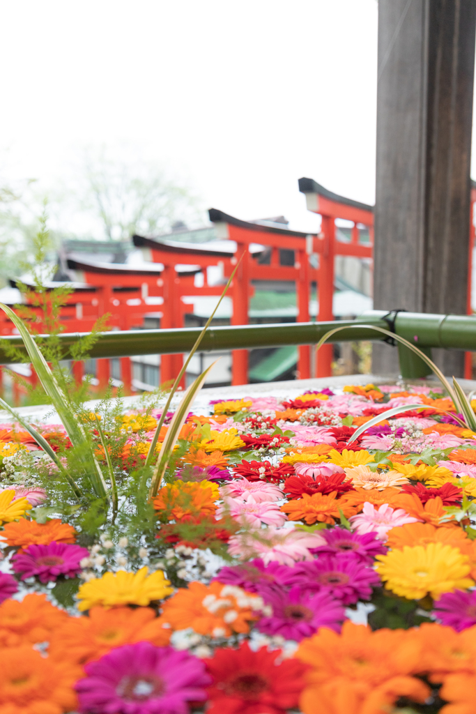 花手水 そのよん。