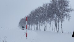 暑中お見舞い申し上げます。