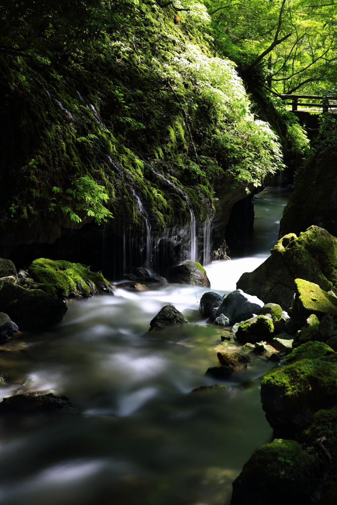 玉垂の滝