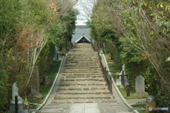 輪王寺　正面階段