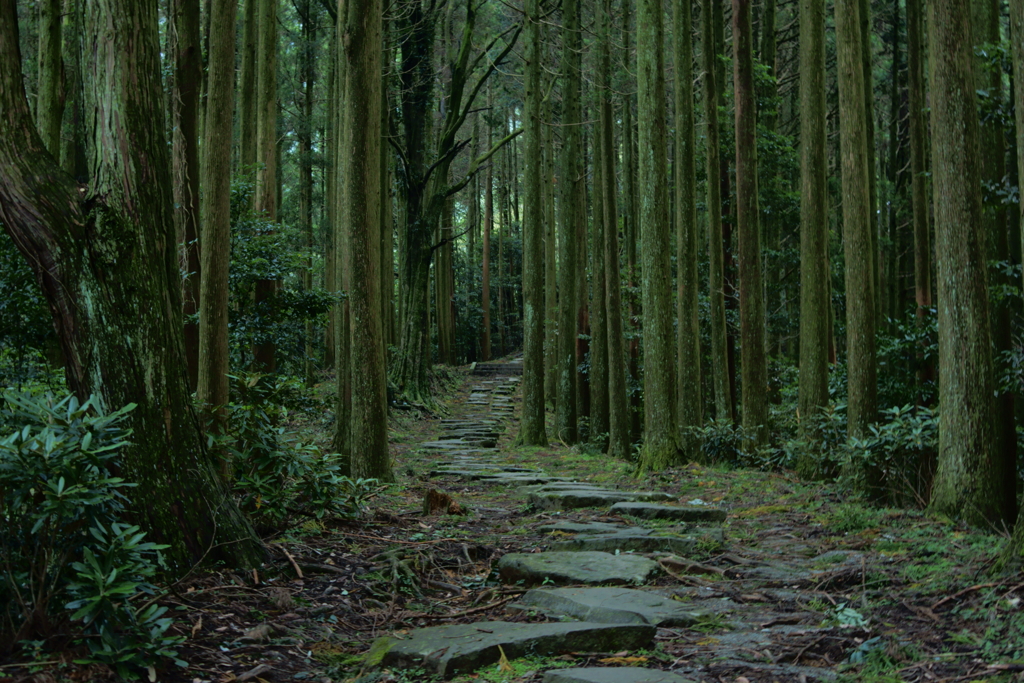 石の道　