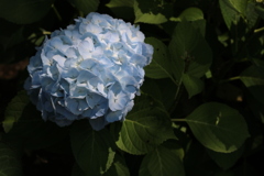 二面性