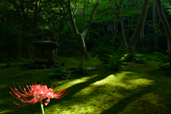 祇王寺