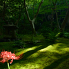 祇王寺
