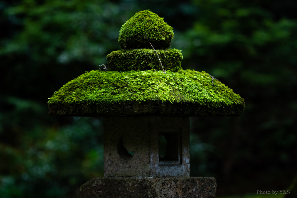 無の存在