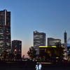 Yokohama Night