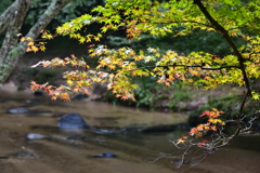 秋の気配