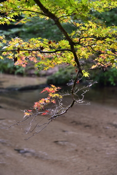 秋の気配