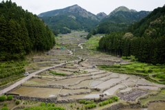 棚田 ～四谷の千枚田～