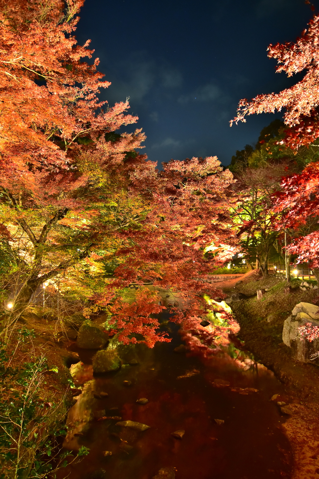 岩屋堂の紅葉