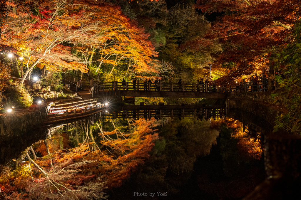 みんな大好き♡リフレクション