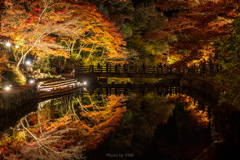 みんな大好き♡リフレクション