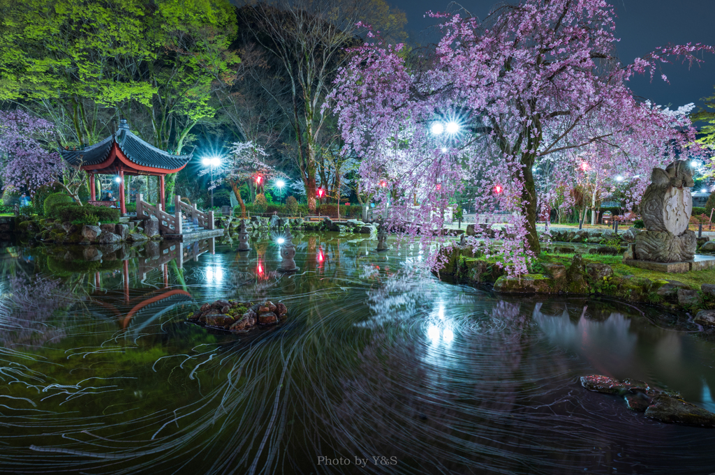 花筏