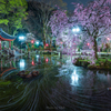 花筏