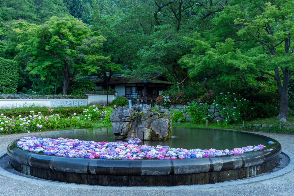 仲夏の彩り