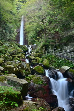 養老の滝