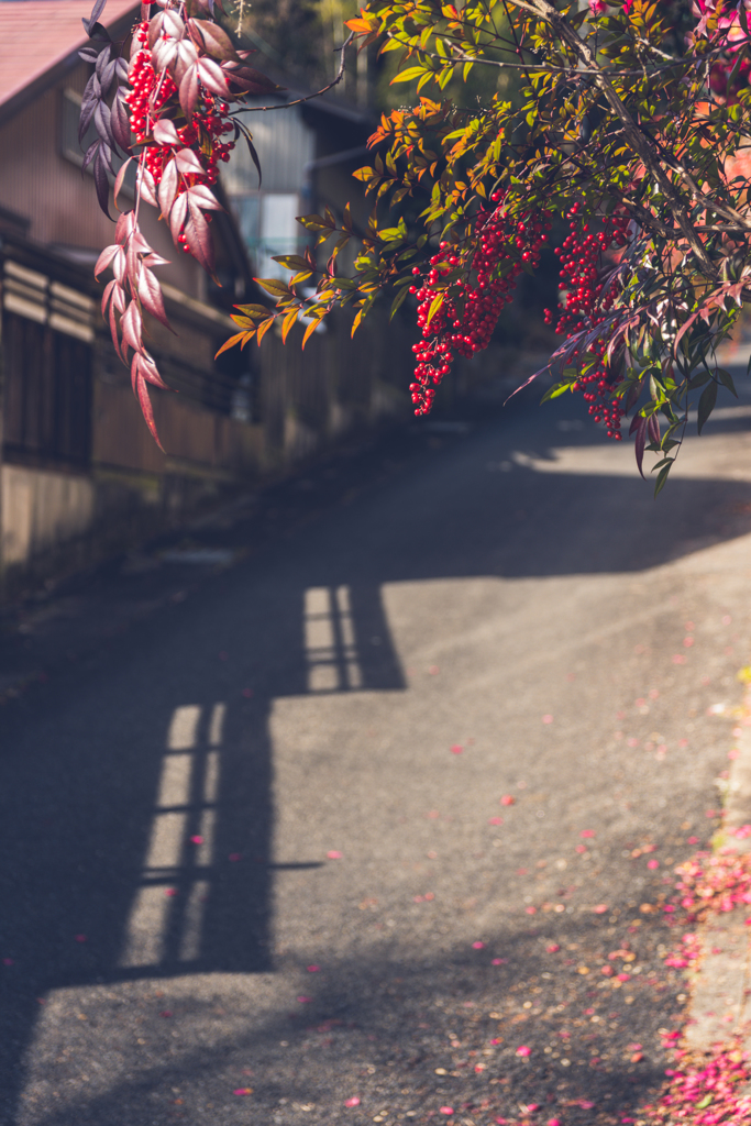 坂道