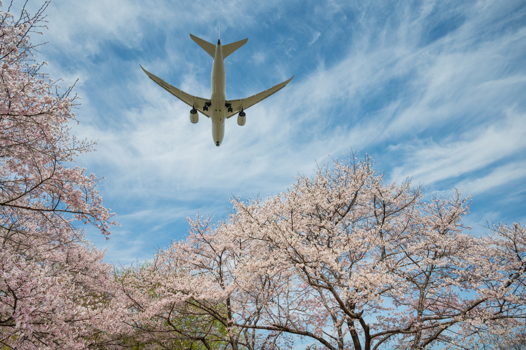 春空 Ⅱ