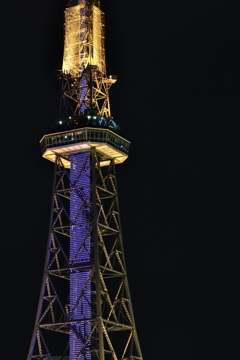 Nagoya TV Tower