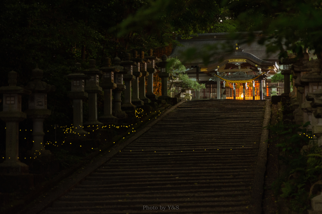 時を戻そう 〜参道渡り〜