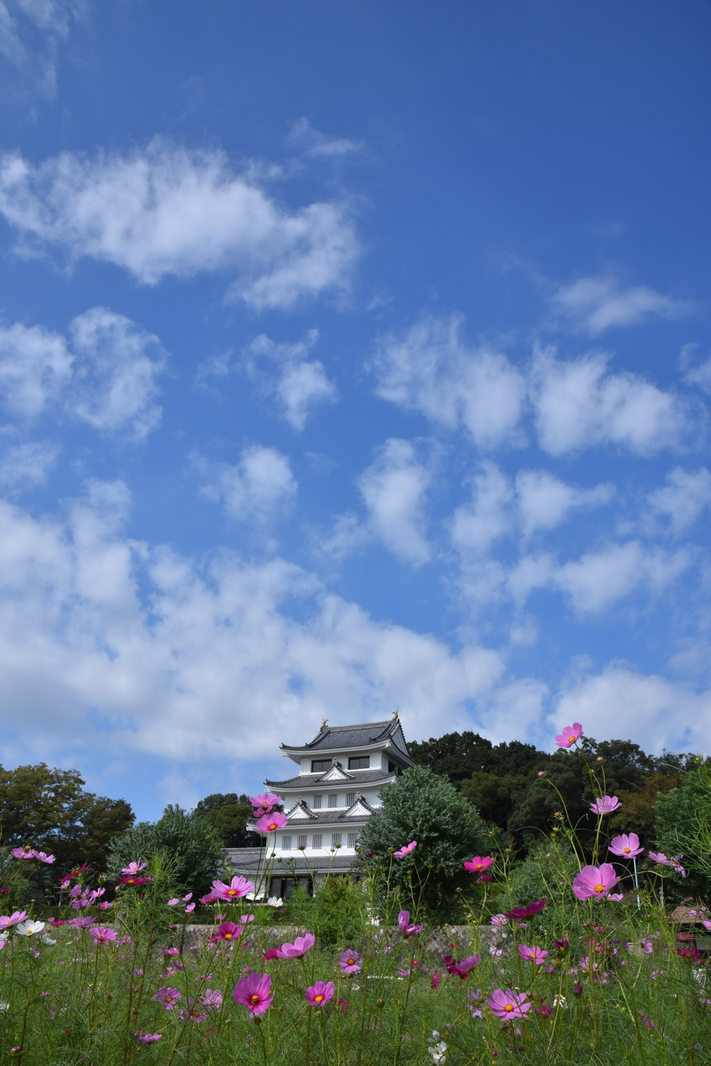 晴れたよぉ～