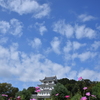 晴れたよぉ～